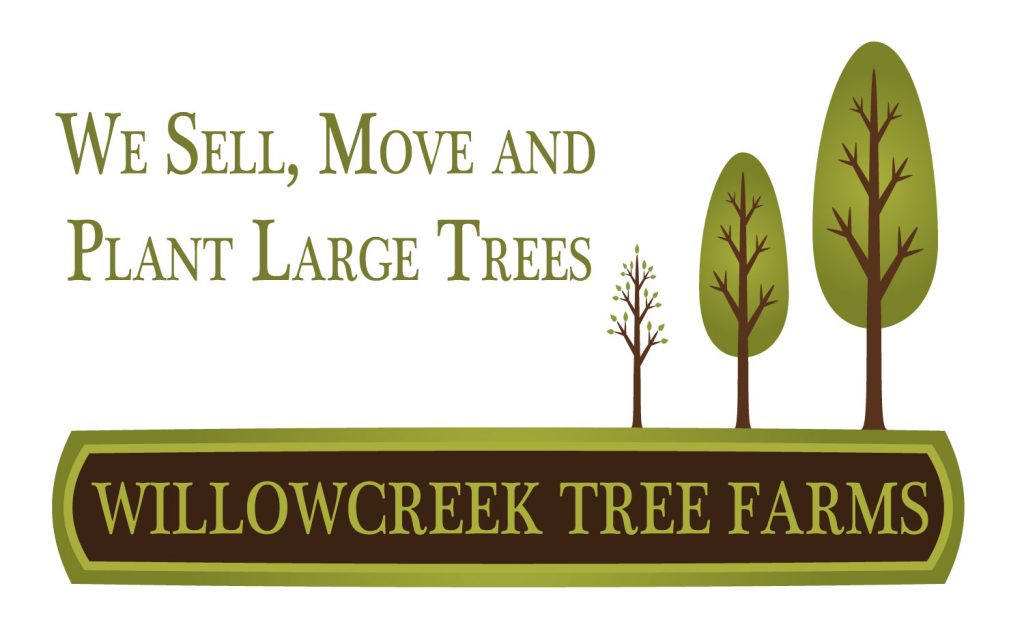Willowcreek-updated-Logo - Willowcreek Tree Farms